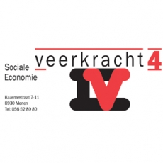 Veerkracht 4